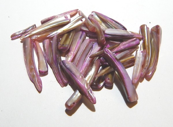 Muschelzähne, Rosa, 25-40mm