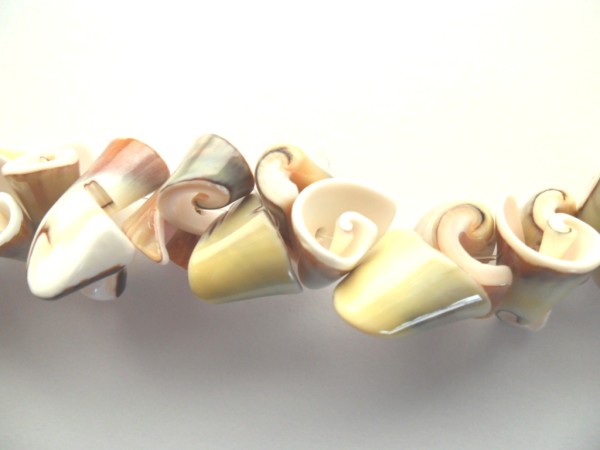 Muschelperlen, Schneckenmuschel, Strang, 15-18mm