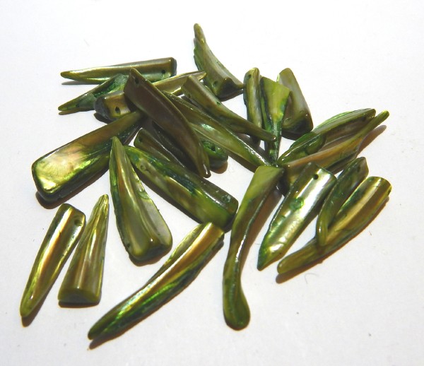 Muschelzähne, Grün, 25-40mm
