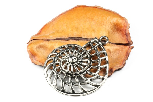 Anhänger, Schneckenhaus, filigran, Silberfarben, 36x29mm