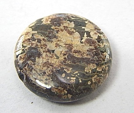 Leoparden Jaspis Perlen, Taler, 25mm