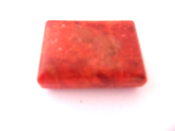 Schaumkoralle, Rechteck, poliert, 25x18x8mm